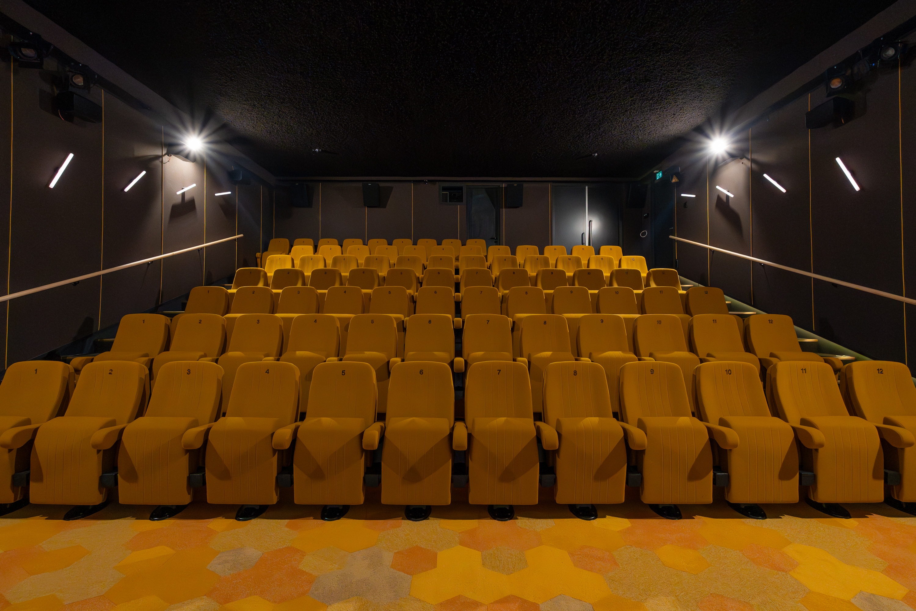 FilmTheater FilmkrantDag-002.jpg